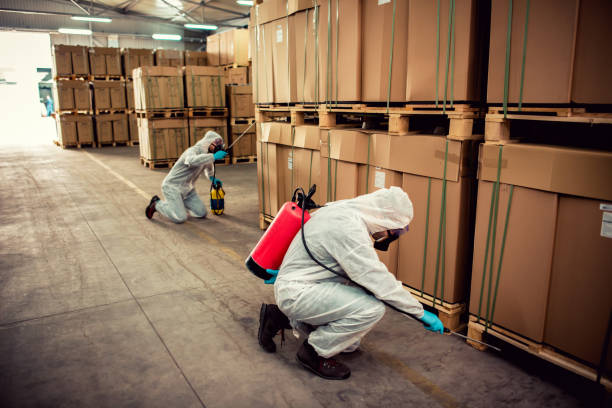 Best Affordable Pest Control Services  in Iyanbito, NM