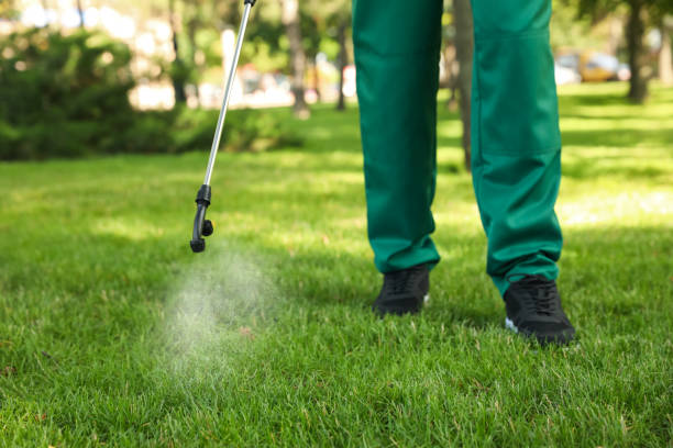 Best Wasp Removal Services  in Iyanbito, NM