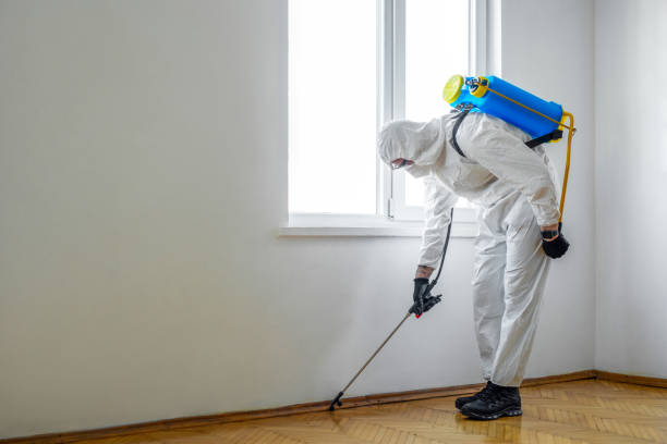 Reliable Iyanbito, NM Pest Control Solutions