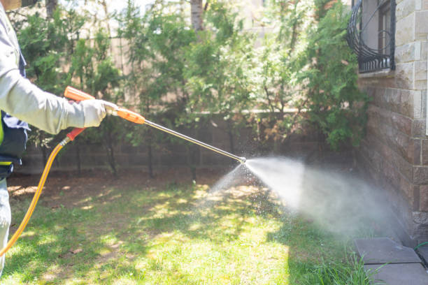 Best Ant Control Services  in Iyanbito, NM