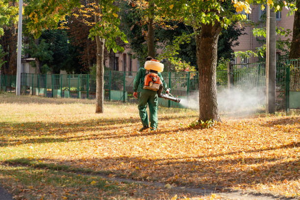 Best Exterminator Services  in Iyanbito, NM