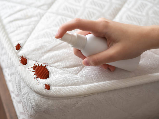 Best Exterminator Services  in Iyanbito, NM