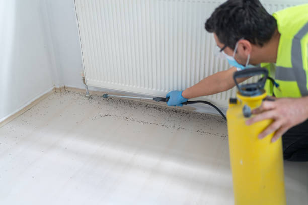 Best Cockroach Control Services  in Iyanbito, NM