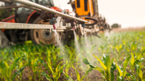 Best Mosquito Control Services  in Iyanbito, NM