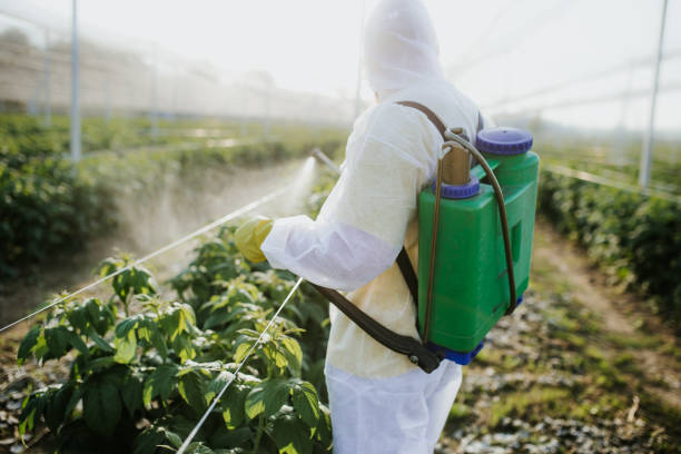 Pest Control Cost in Iyanbito, NM